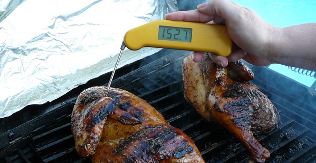 Checking the Award Winning Chicken with the Thermapen