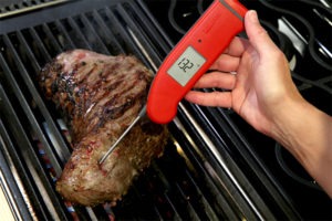 Testing gradient temperatures of a Tri-Tip with a Thermapen