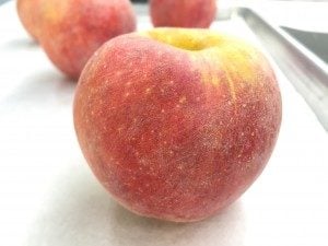Prepped apple with a sanded surface