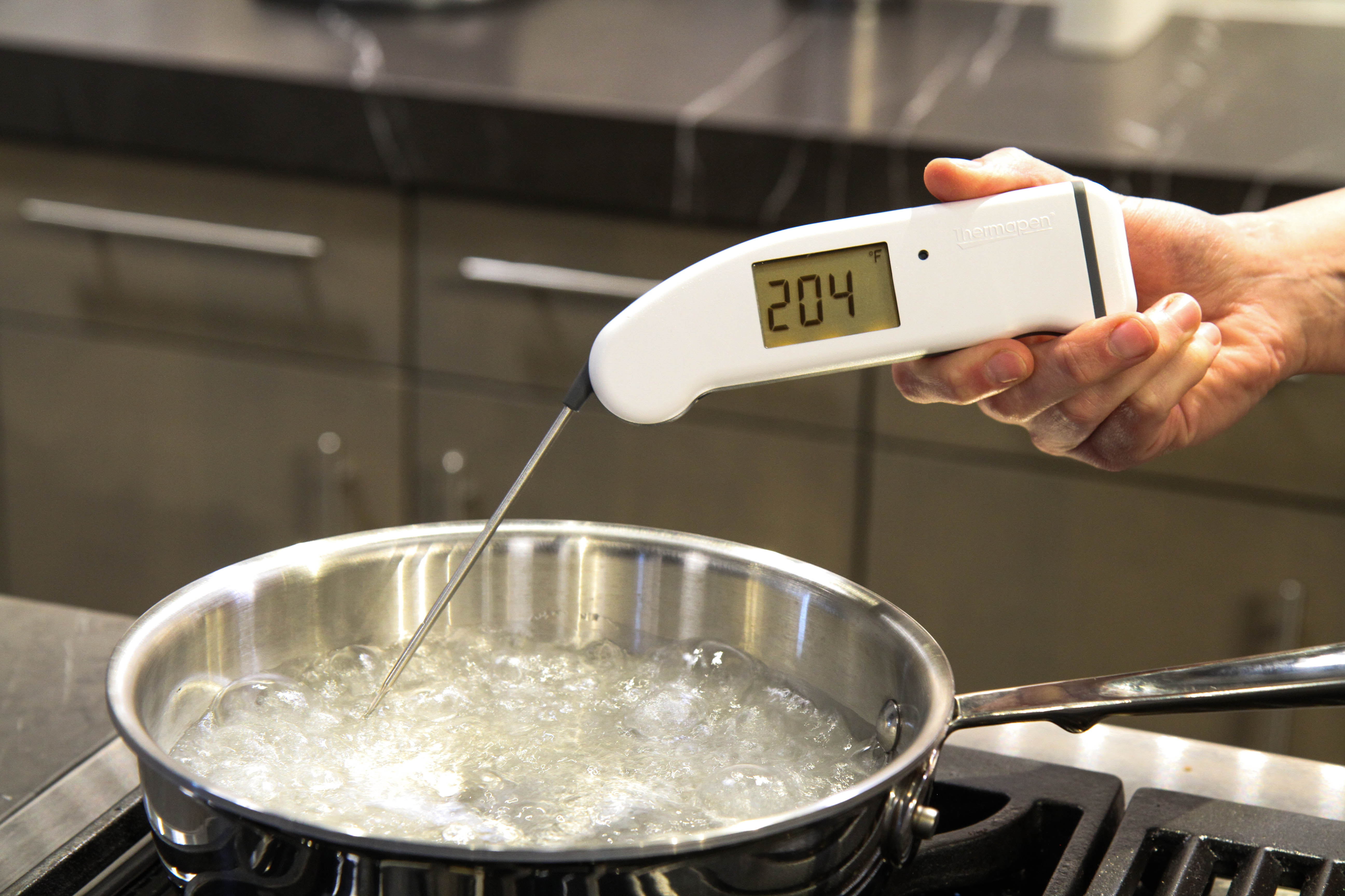 Testing Thermometers For Accuracy: Ice Bath Test & Boiling Water