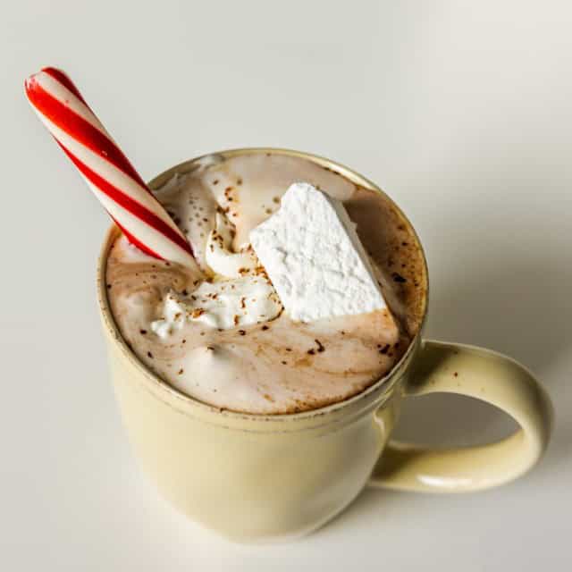 Hot Chocolate Serving Temperatures ThermoWorks