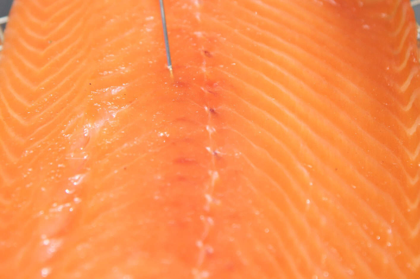 Smoked Salmon: Key Temperatures & A Recipe | ThermoWorks