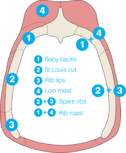 spare ribs vs baby back ribs, a diagram