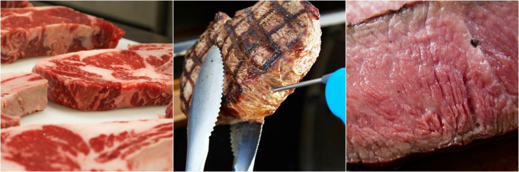 Steak Protein Fibers Probing