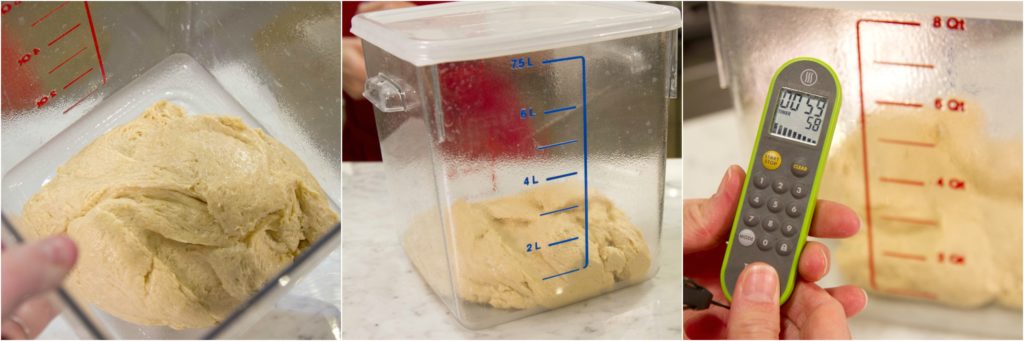 Fermenting brioche dough at room temperature