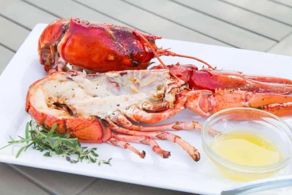 How to Grill Lobster ThermoWorks