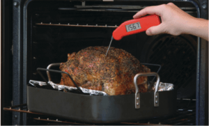 Perfect Turkey with Thermapen