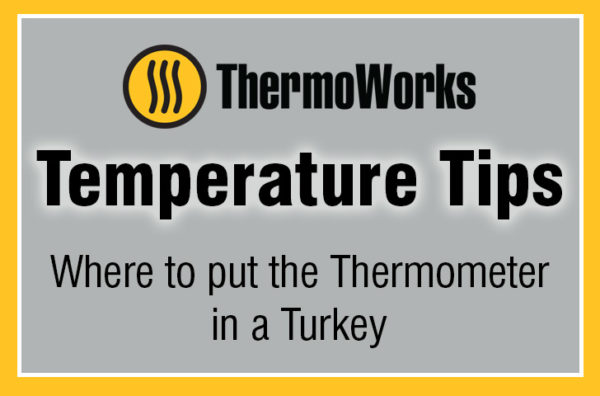 Where To Put The Thermometer In A Turkey