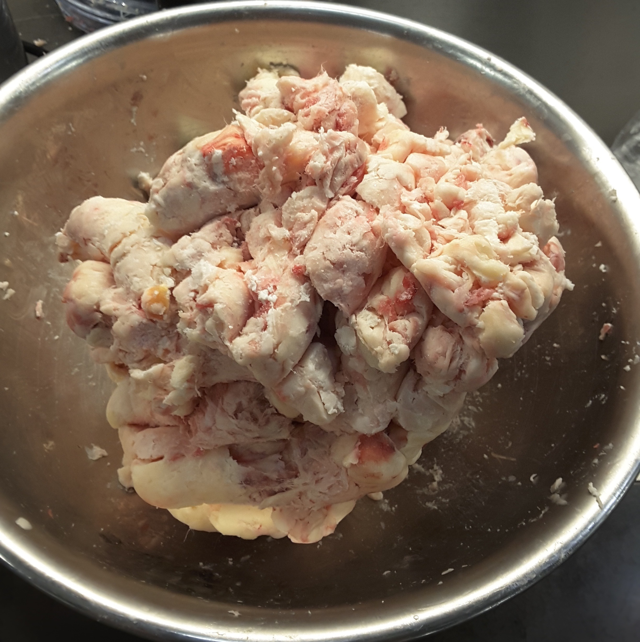 Beef suet for rendering tallow