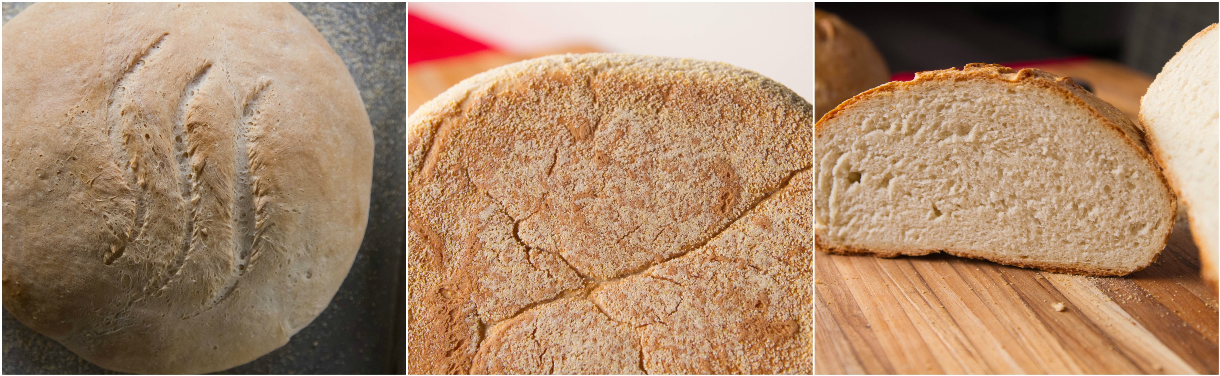 Kijkgat Methode Schoolonderwijs Homemade Bread: Temperature is Key | ThermoWorks