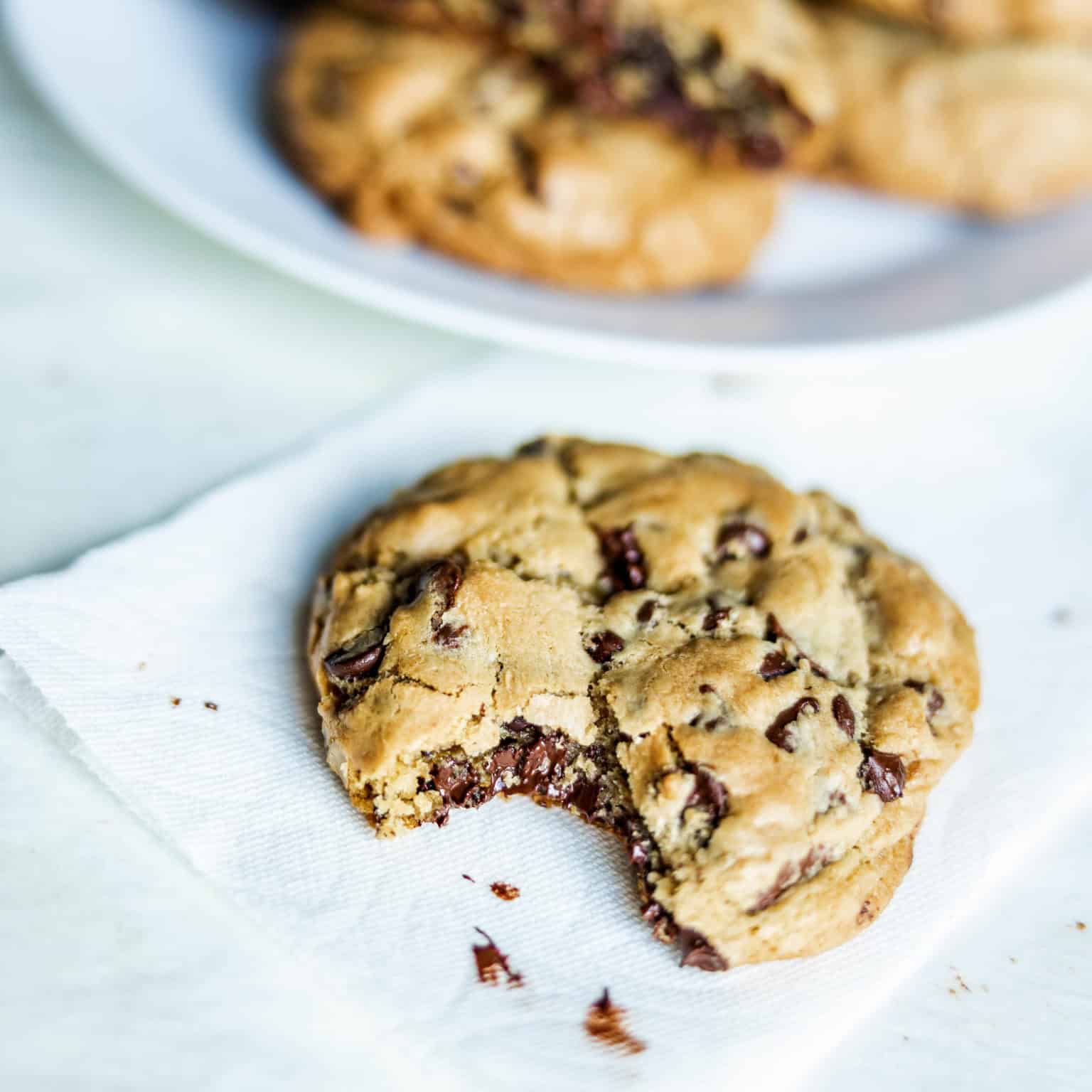 Huge, soft, gooey chocolate chip cookies! | ThermoWorks