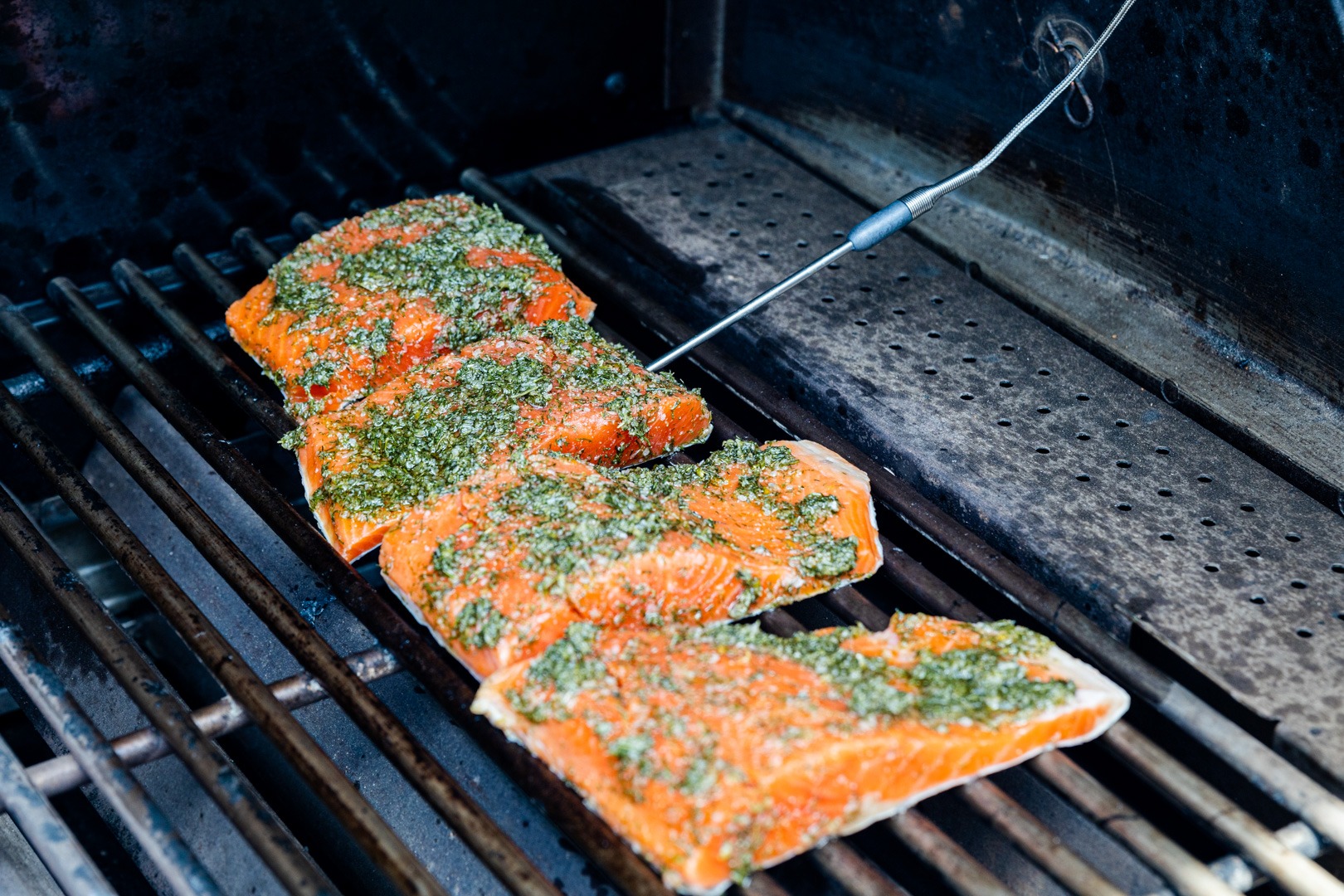 Grilled Salmon Compressed 15 
