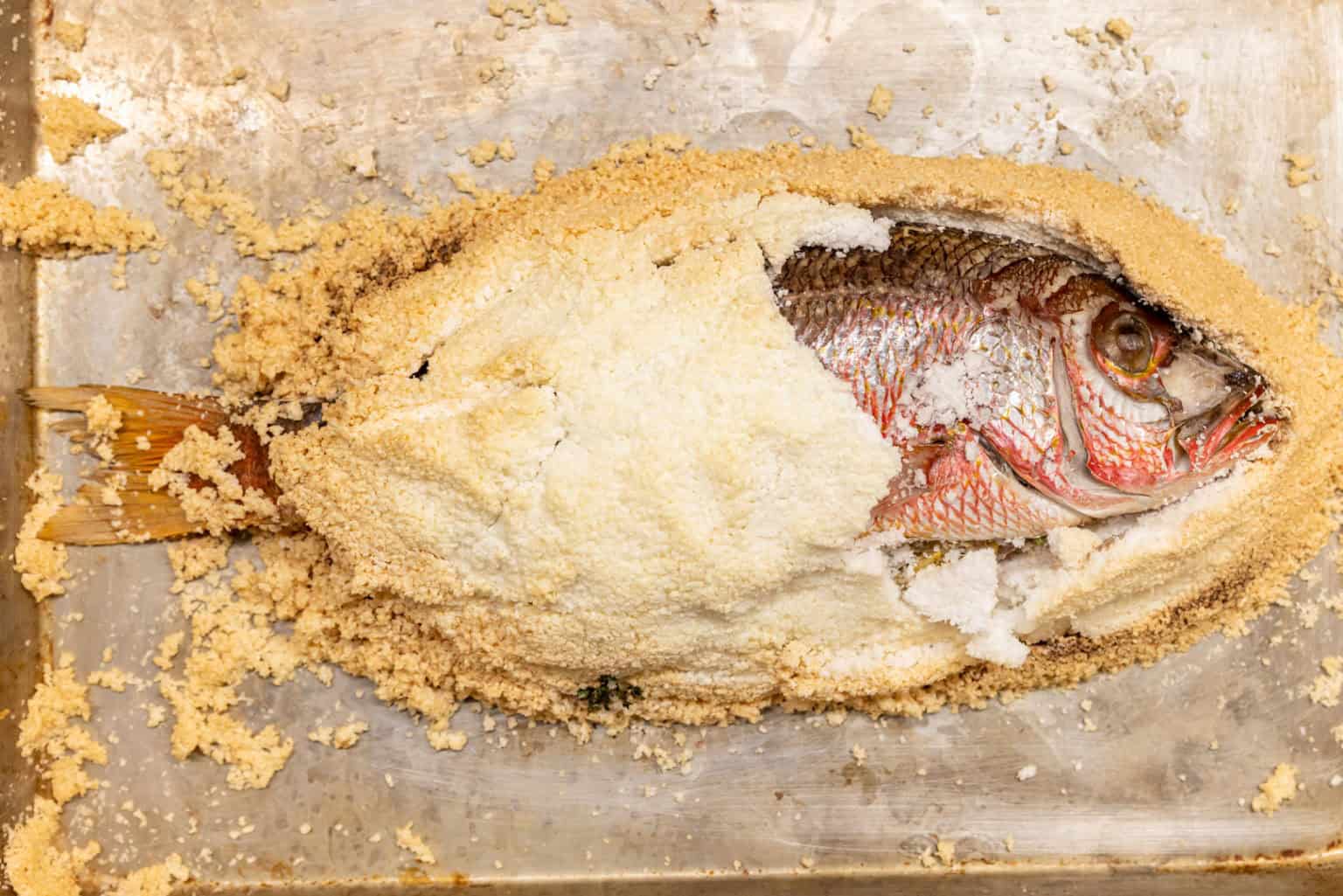 SaltCrusted Red Snapper Perfect Temps for a Unique Dish