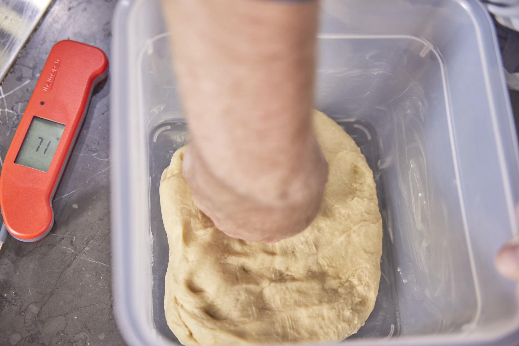 flattening the dough in the container