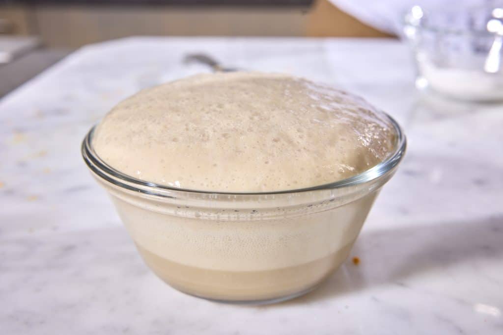 Yeast activating in a bowl with water and sugar