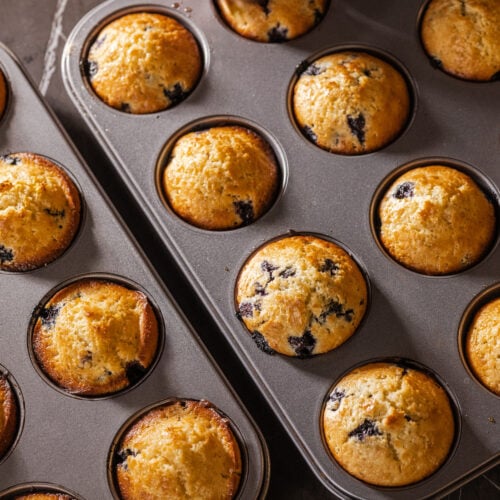 Blueberry muffins in their tin