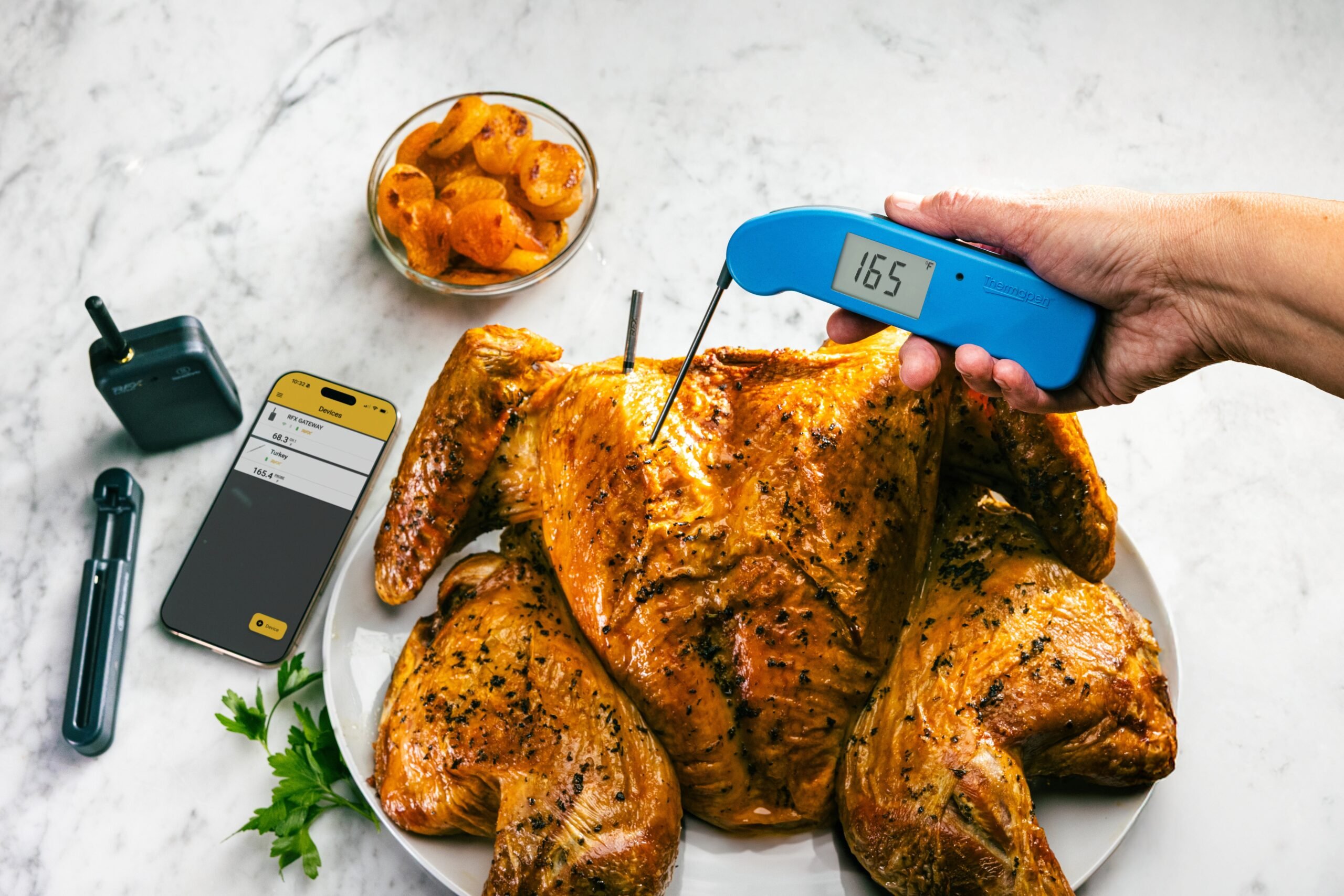 Temping a turkey with Thermapen ONE