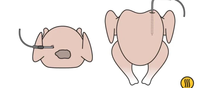 Placing a Pro-Series probe in a turkey